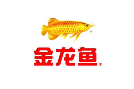 金龍魚